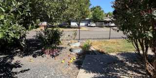 3 Bedroom on Large corner lot! 3 Bedroom on Large corner lot! Gallery 46