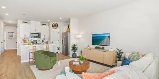 Coral Palms at Oakleaf Gallery 8