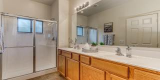 33550 N DOVE LAKES Drive Gallery 17