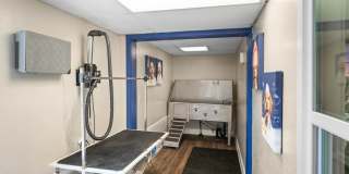 The Whitney Gallery 18