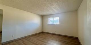 Lovely 1 Bedroom, 1 Bathroom Lakewood Condo! Community POOL!!! Gallery 9