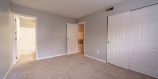 Tarpis Woods Gallery 4