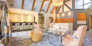Waverly Place Gallery 2
