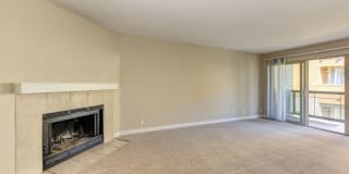 Madison Bellevue Gallery 39