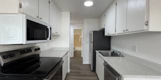 1 Bedroom 1 Bath Peckham Gardens Apartment - Reno Gallery 1