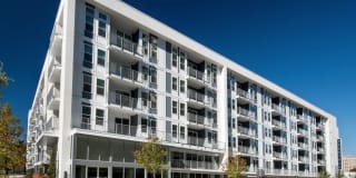 Spectrum on Spring Gallery 22