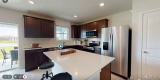 905 Golden Shiner Avenue Gallery 1