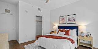 Aster & Links Gallery 59