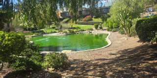1 Bed 1 Bath Close to Lake Murray Gallery 13