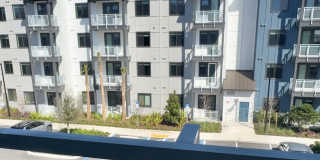 5129 W Tyson Ave Gallery 6