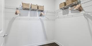 Ascend at Carlton Gallery 42