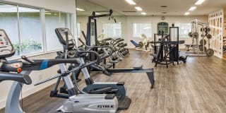 Citation Club Gallery 12