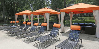 The Avenue Apartments Gallery 2