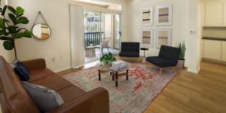 Skyview Gallery 11