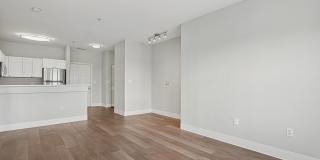 Canton Woods Gallery 27