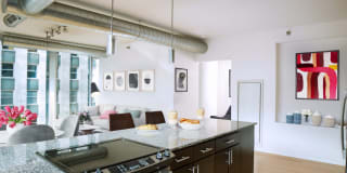 Env Chicago Gallery 36