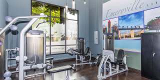 Oak Walk Gallery 2