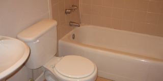 3/1 Home in West Park Manor Gallery 5