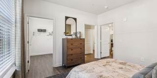 Ascend at Carlton Gallery 65