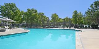 Maison's Landing Gallery 3