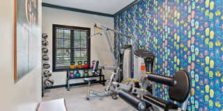 Arium Vinings Station Gallery 27