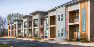 Coronet Way Gallery 53