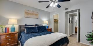 Southern Oaks Southern Oaks Gallery 14