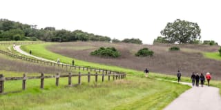 Sharon Green Gallery 42