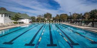 Enders Place at Baldwin Park Gallery 25