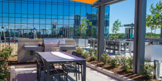 The Modern Gallery 20