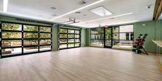 Windsor Commons Gallery 23