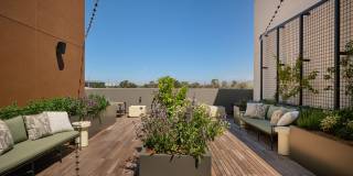 The Lafayette Gallery 44