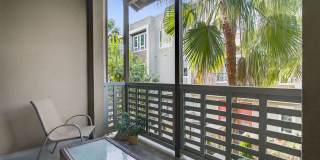 Doheny Beach Gem Gallery 13