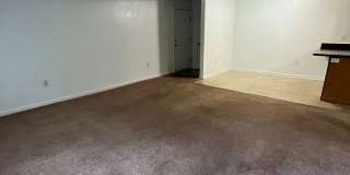 Cascades Pointe Gallery 20