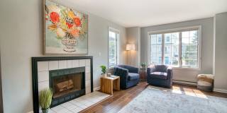 12 Middlefield Street Gallery 5