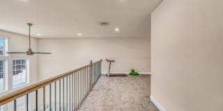 12 Anna Drive Gallery 12