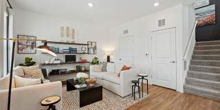 Hamlet Wildlight Gallery 8