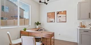 VALO at Desert Haven Gallery 10