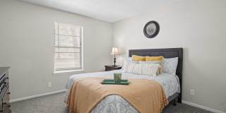 Diamond Lake Gallery 10