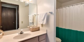 New Fountains Gallery 7