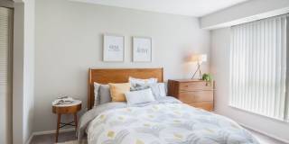 Metropolitan Doylestown Gallery 42