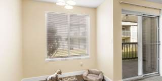 Avana Star Lake Gallery 73