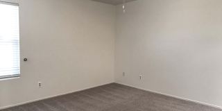 7800 N Nicole Place Gallery 19