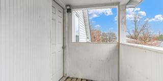 Beautifully Remodeled 1 Bedroom Located in a Historic Area near Campus, Downtown, Parks, and Dining Gallery 5