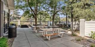 The Magwood Gallery 32