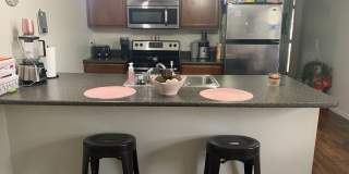 1 Bedroom apartment Gallery 1