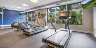 Bay Hill Apartments Gallery 12