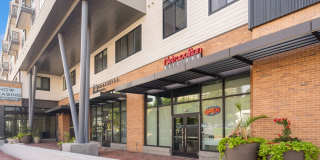 Cameron Square Gallery 16