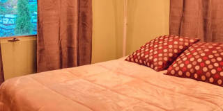 1824 Peachtree Lane Gallery 8