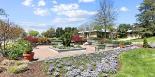 3210 N LEISURE WORLD Boulevard unit: 119 Gallery 47